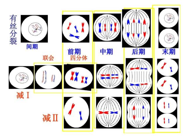 看透世情 隱居田園 有加无减数八卦打一准确生肖的全面释义、解释与落实、统计解答解释落实